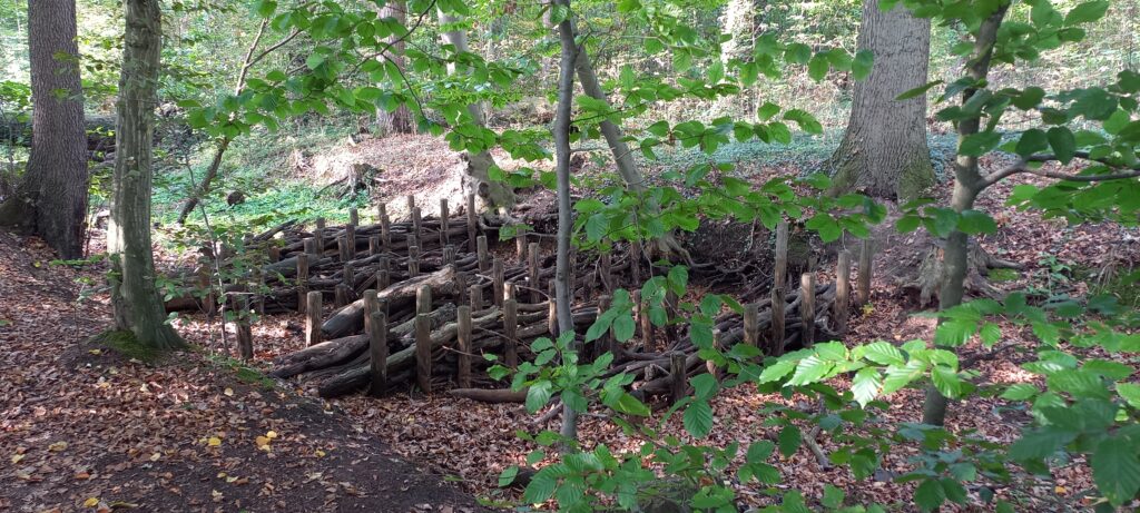 20261004_152745